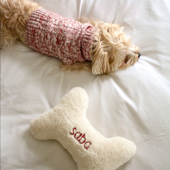 Petco Accessories - XS / S Knitted Winter Christmas Dog Pet Sweater